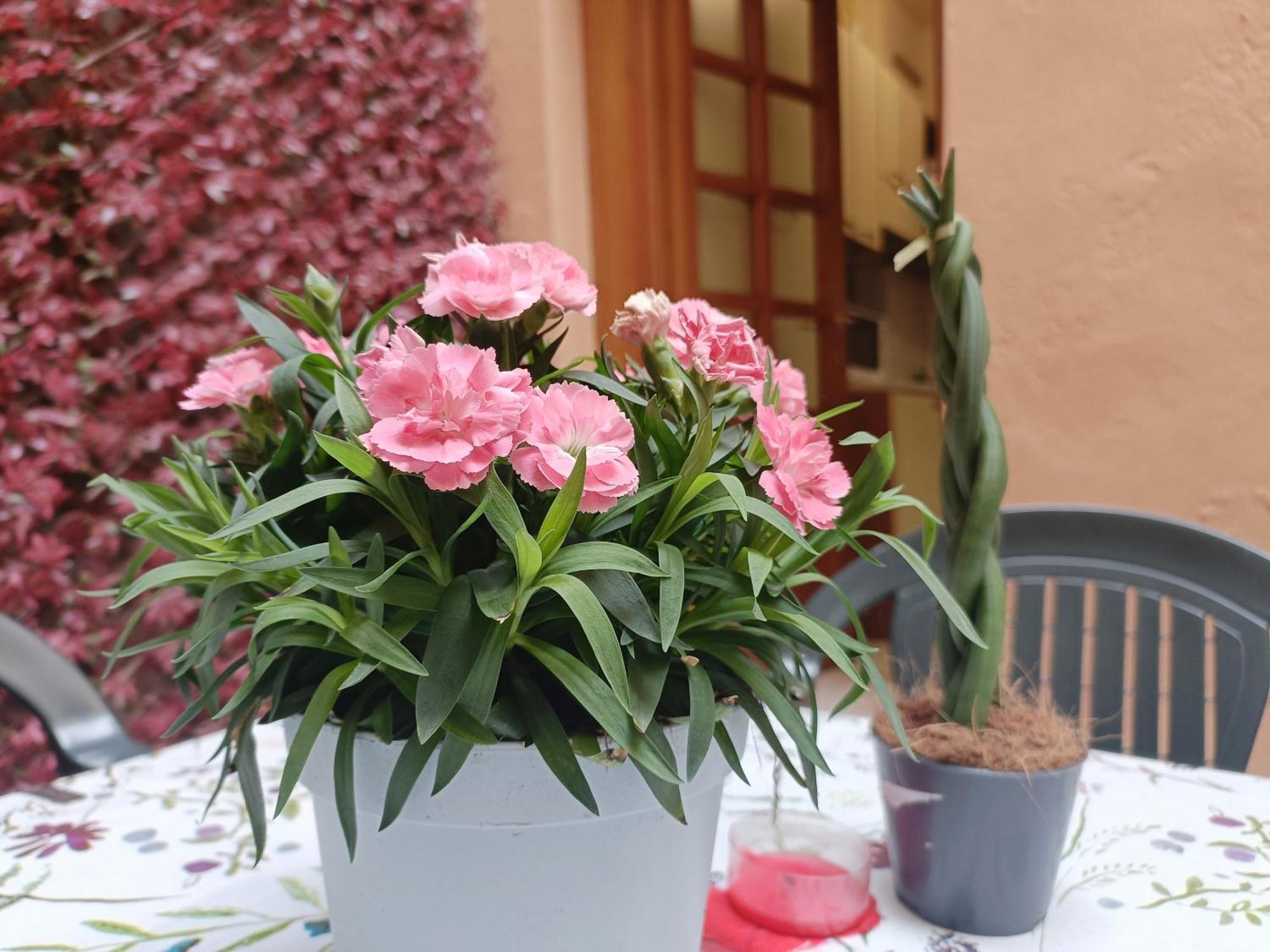 דירות לוקה Il Giardino Segreto מראה חיצוני תמונה