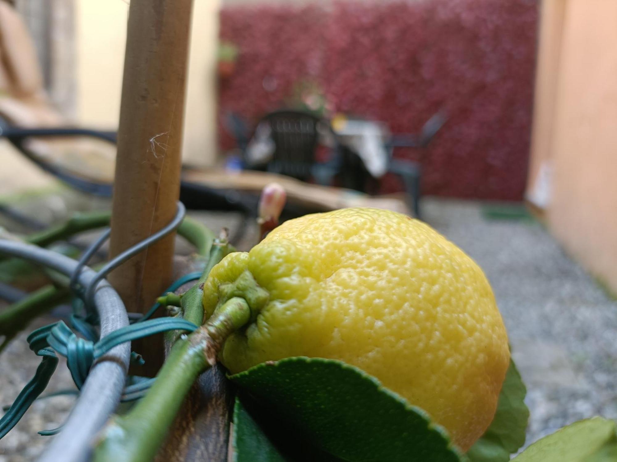 דירות לוקה Il Giardino Segreto מראה חיצוני תמונה